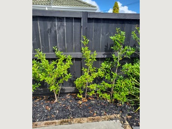 Image 1 of 3