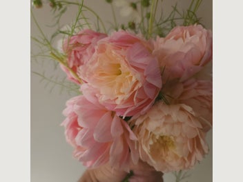 Image 1 of 9