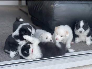 Image 1 of 19