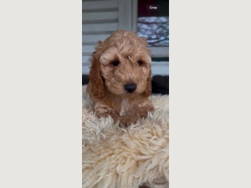 Image 1 of 11