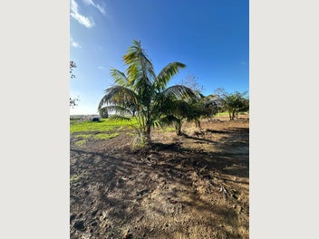 Image 1 of 14