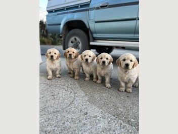 Image 1 of 20