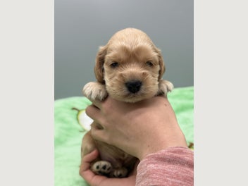 Image 1 of 12