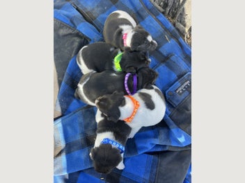 Image 1 of 12