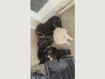 Image 1 of 11
