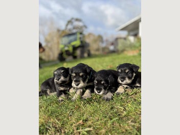 Image 1 of 20