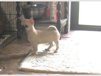 Image 1 of 10