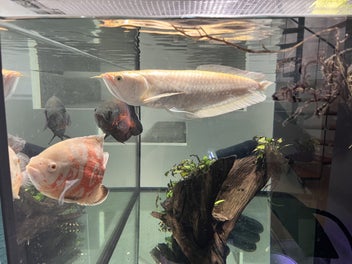 Image 1 of 8