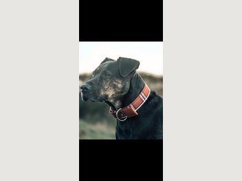 Image 1 of 11
