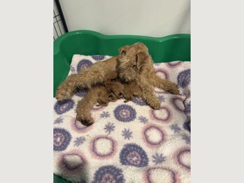 Image 1 of 10