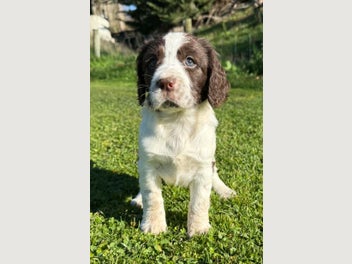 Image 1 of 7