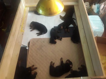 Image 1 of 8