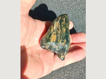 Image 1 of 16
