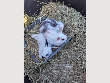Image 1 of 19