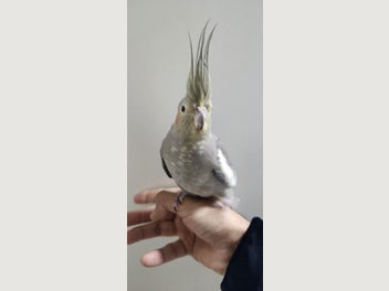 Image 1 of 12