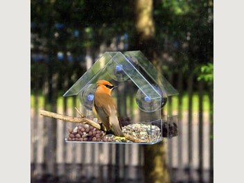 Image 1 of 7