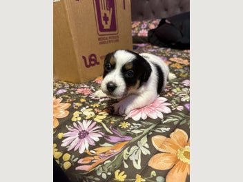 Image 1 of 19