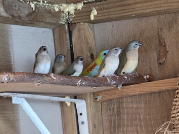 Image 1 of 5