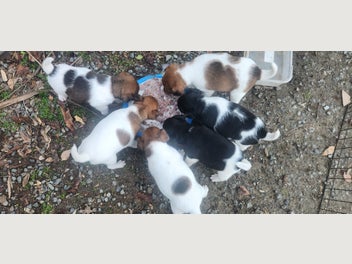 Image 1 of 17