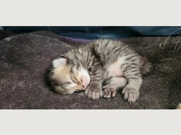 Image 1 of 19