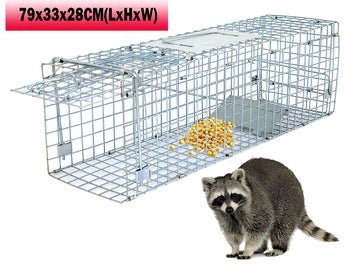 Image 1 of 11
