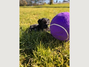 Image 1 of 19