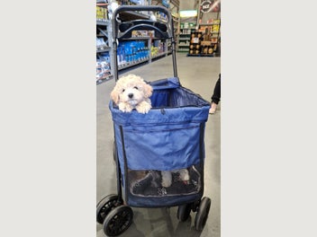 Image 1 of 11