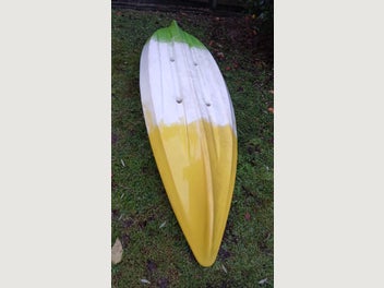 Image 1 of 16