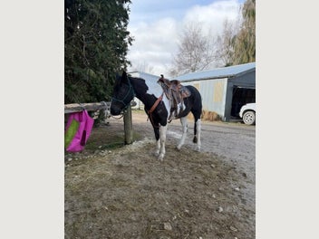 Image 1 of 10
