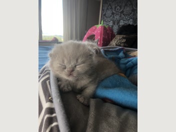 Image 1 of 11
