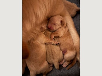 Image 1 of 9