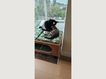 Image 1 of 8