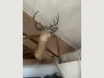 Image 1 of 10