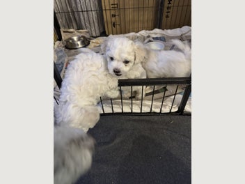Image 1 of 6