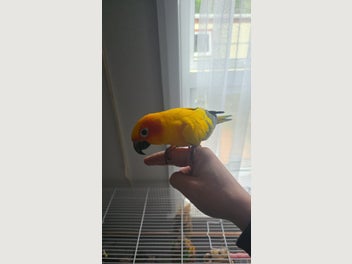 Image 1 of 3