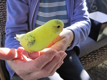 Image 1 of 6