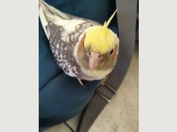 Image 1 of 2
