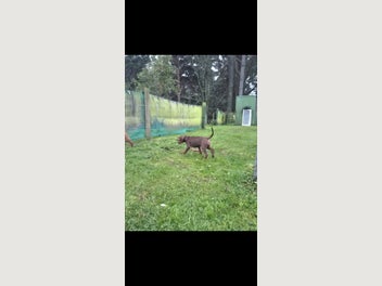 Image 1 of 15