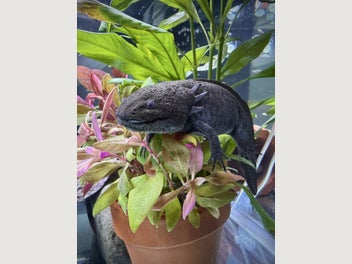 Image 1 of 10
