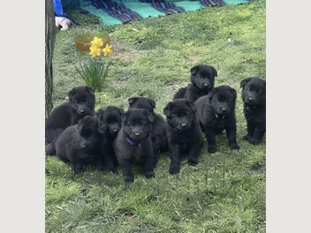 Image 1 of 10