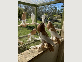 Image 1 of 6