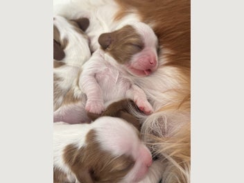 Image 1 of 14