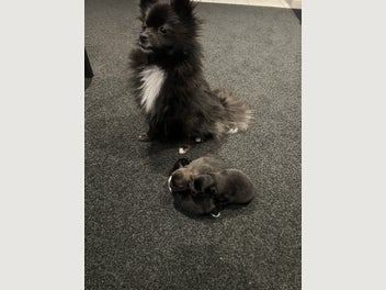 Image 1 of 6