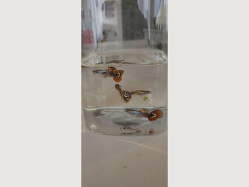Image 1 of 3