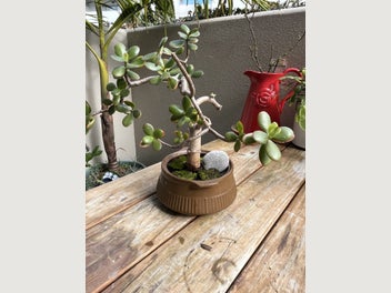 Image 1 of 17
