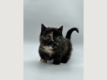 Image 1 of 20