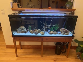 Image 1 of 18