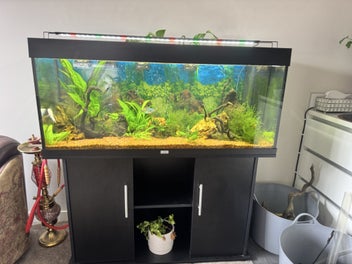 Image 1 of 16
