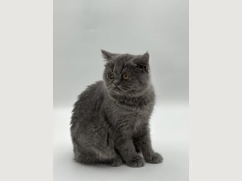 Image 1 of 20