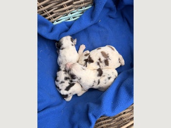 Image 1 of 18